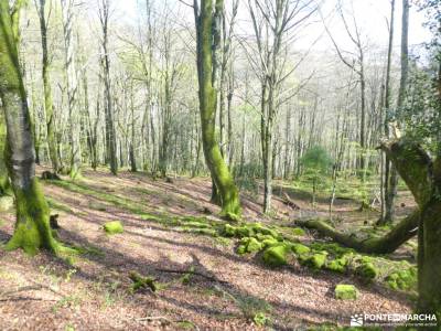 Parque Natural de Nansa y el Alto Besaya;cascajares segovia bolsillos para mochilas senderismo lagun